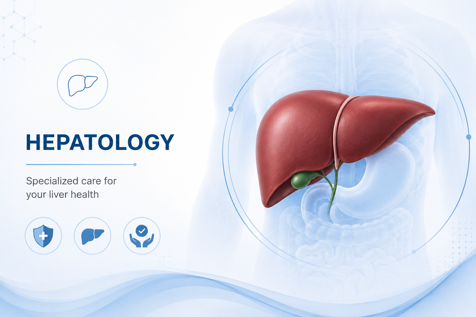 HEPATOLOGY